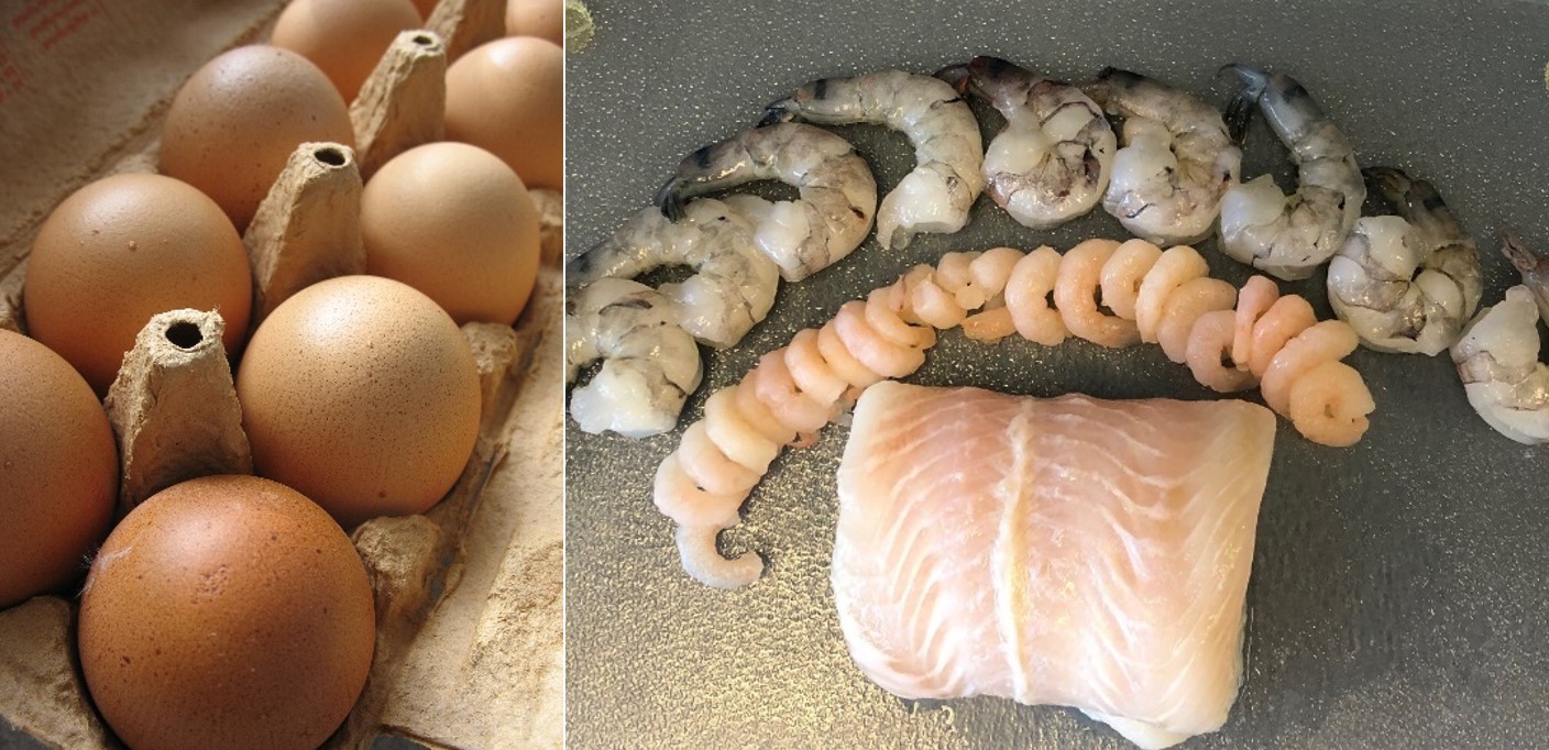 Auf dem Bild sind verschiedene Lebensmittel aus dem Lebensmittelhandel zu sehen. Dies sind: Eine 10er Packung mit Eiern, ein Fischfilet, 2 verschiedene Arten von Shrimps.